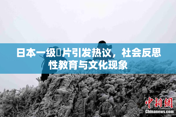 日本一级婬片引发热议，社会反思性教育与文化现象