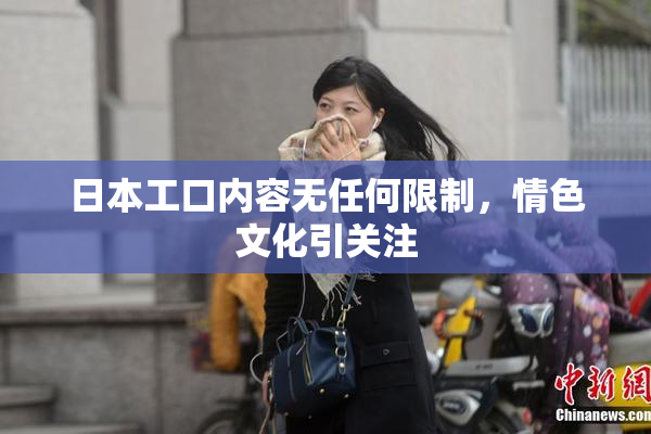 日本工口内容无任何限制，情色文化引关注