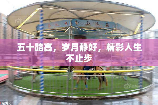 五十路高，岁月静好，精彩人生不止步