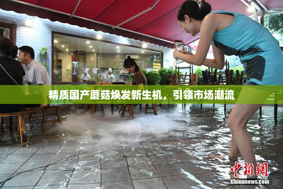 精质国产蘑菇焕发新生机，引领市场潮流