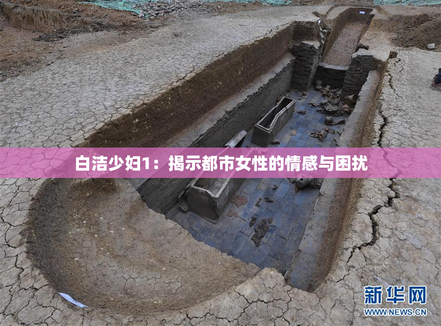 白洁少妇1：揭示都市女性的情感与困扰