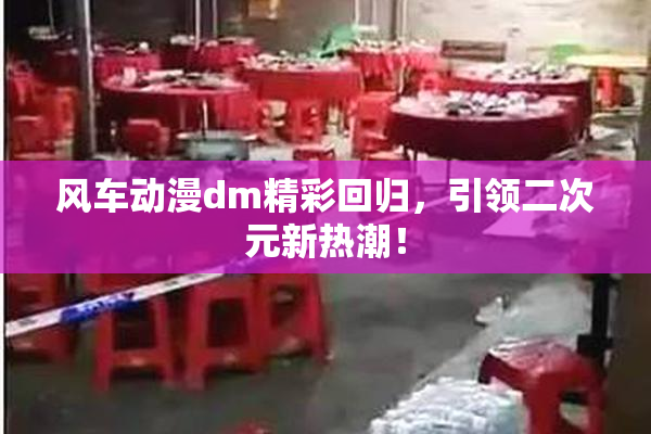 风车动漫dm精彩回归，引领二次元新热潮！