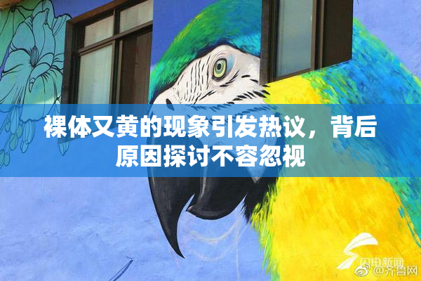 裸体又黄的现象引发热议，背后原因探讨不容忽视