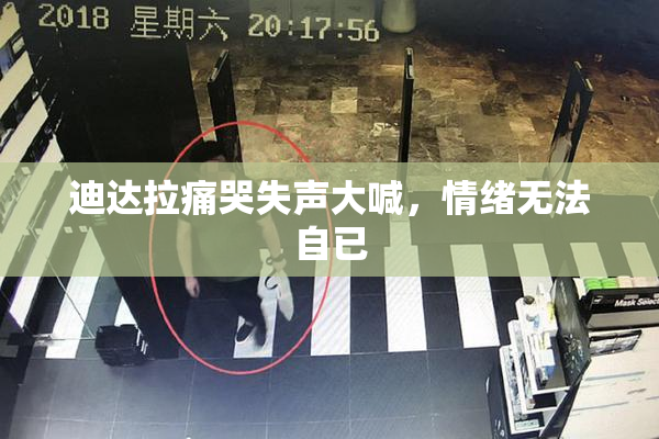 迪达拉痛哭失声大喊，情绪无法自已