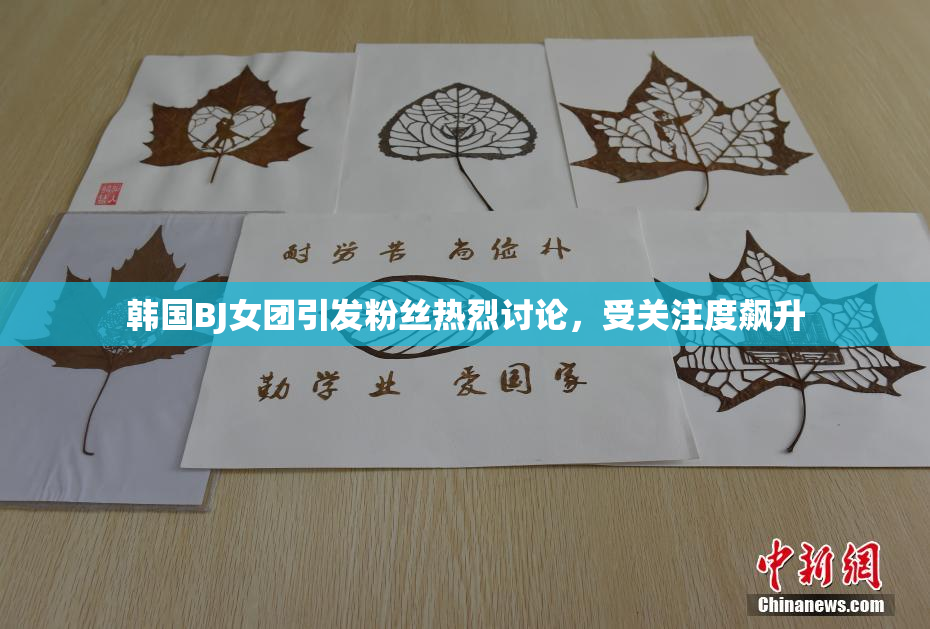 韩国BJ女团引发粉丝热烈讨论，受关注度飙升