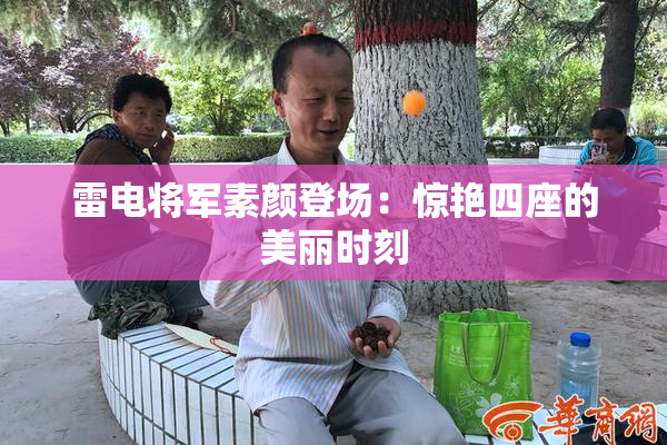 雷电将军素颜登场：惊艳四座的美丽时刻