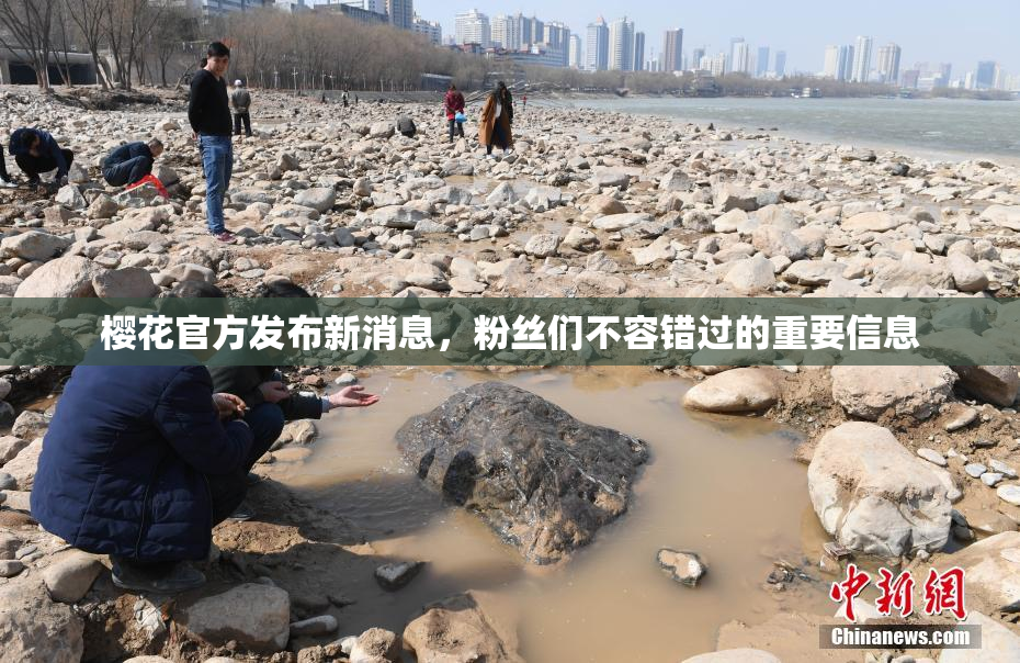 樱花官方发布新消息，粉丝们不容错过的重要信息