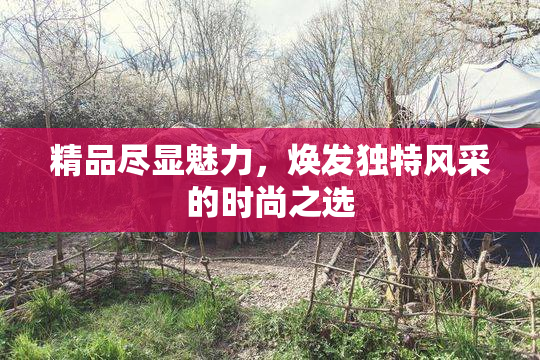 精品尽显魅力，焕发独特风采的时尚之选