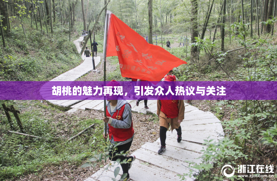 胡桃的魅力再现，引发众人热议与关注