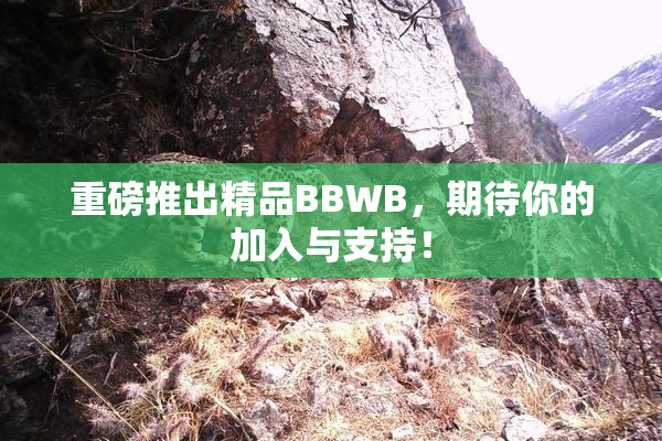 重磅推出精品BBWB，期待你的加入与支持！