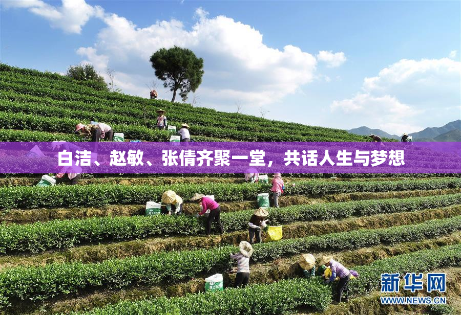 白洁、赵敏、张倩齐聚一堂，共话人生与梦想