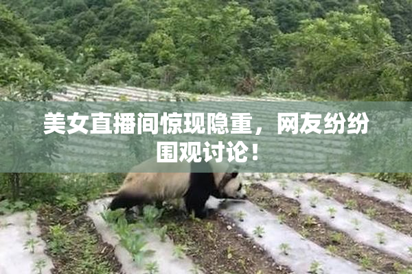 美女直播间惊现隐重，网友纷纷围观讨论！
