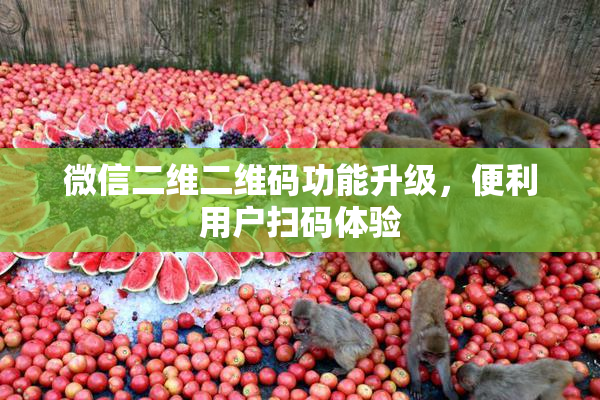 微信二维二维码功能升级，便利用户扫码体验