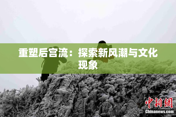 重塑后宫流：探索新风潮与文化现象
