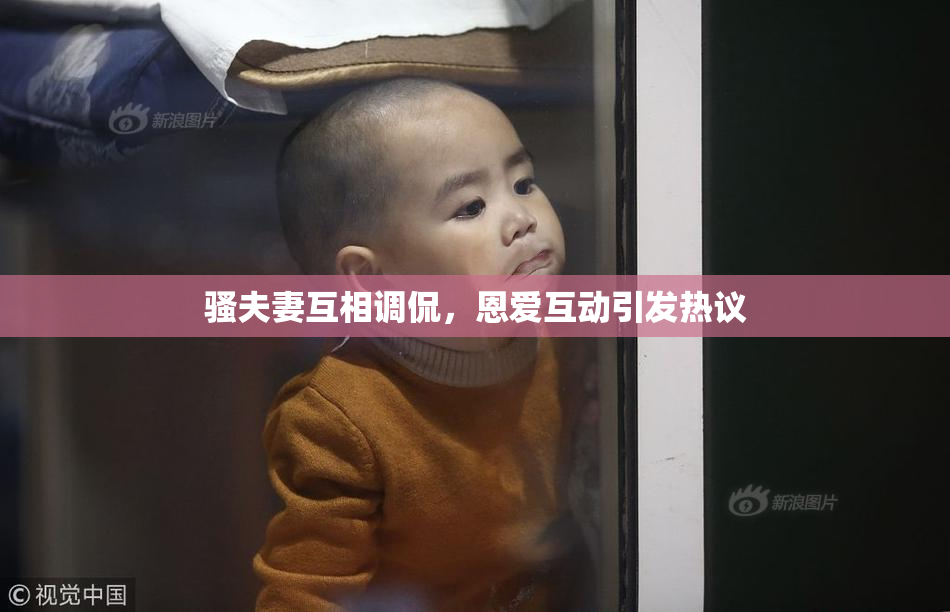 骚夫妻互相调侃，恩爱互动引发热议
