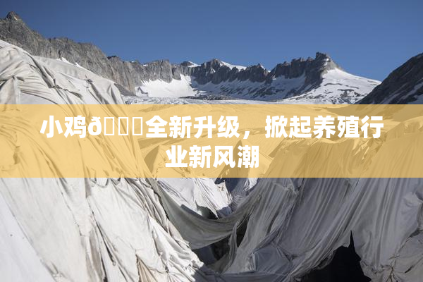 小鸡🐔全新升级，掀起养殖行业新风潮