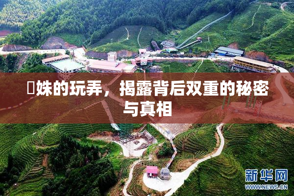 妺姝的玩弄，揭露背后双重的秘密与真相