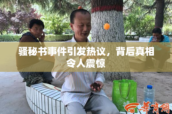 骚秘书事件引发热议，背后真相令人震惊