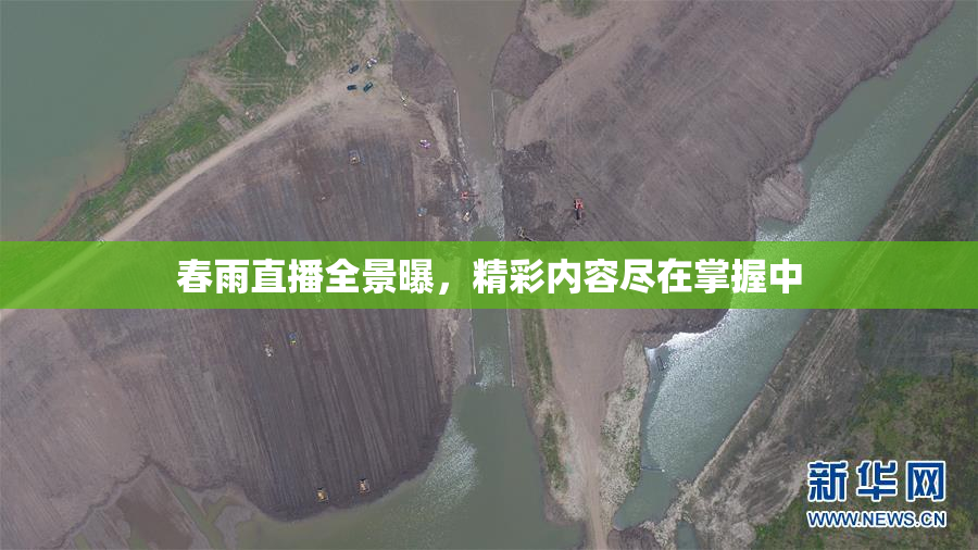 春雨直播全景曝，精彩内容尽在掌握中