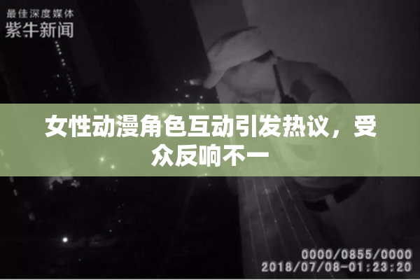 女性动漫角色互动引发热议，受众反响不一