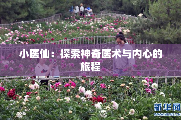 小医仙：探索神奇医术与内心的旅程