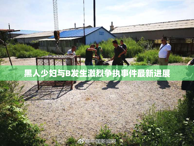 黑人少妇与B发生激烈争执事件最新进展