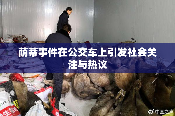 荫蒂事件在公交车上引发社会关注与热议