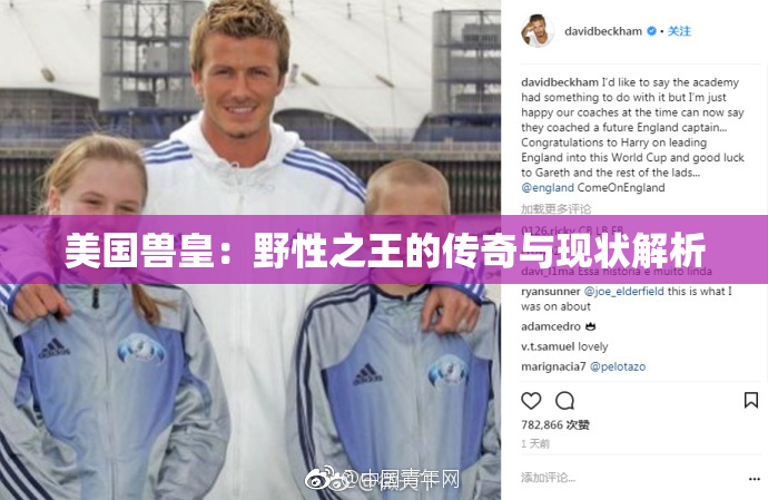 美国兽皇：野性之王的传奇与现状解析