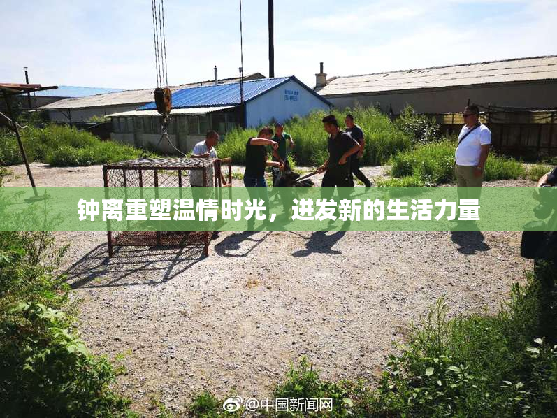 钟离重塑温情时光，迸发新的生活力量
