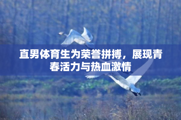 直男体育生为荣誉拼搏，展现青春活力与热血激情
