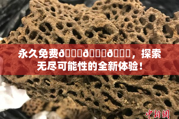 永久免费🔞🔞🔞，探索无尽可能性的全新体验！