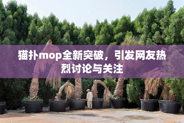 猫扑mop全新突破，引发网友热烈讨论与关注