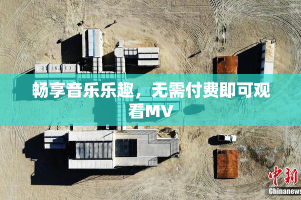 畅享音乐乐趣，无需付费即可观看MV