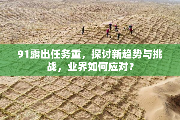 91露出任务重，探讨新趋势与挑战，业界如何应对？