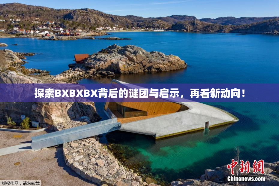 探索BXBXBX背后的谜团与启示，再看新动向！