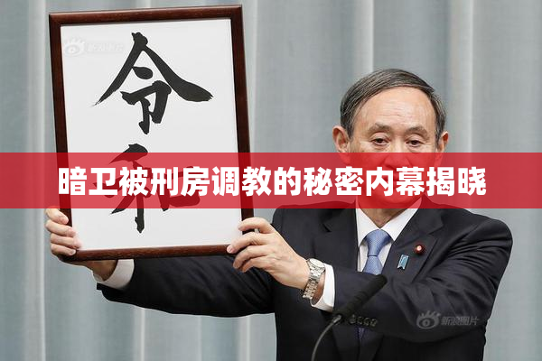 暗卫被刑房调教的秘密内幕揭晓