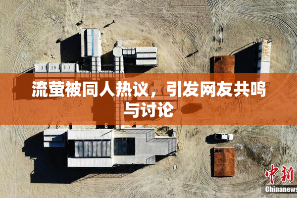 流萤被同人热议，引发网友共鸣与讨论