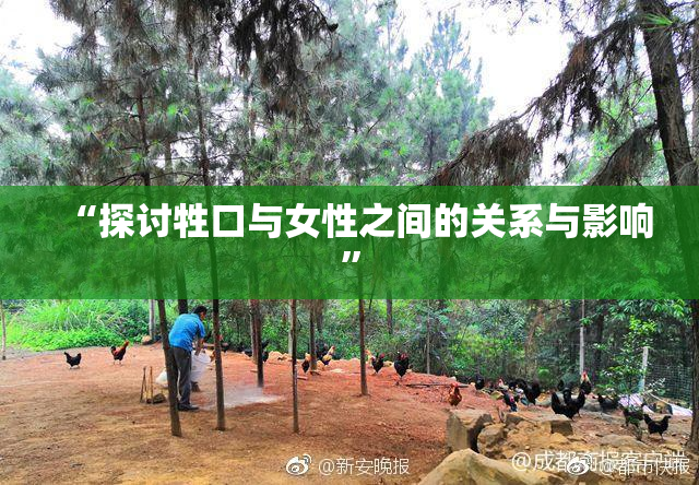 “探讨牲口与女性之间的关系与影响”