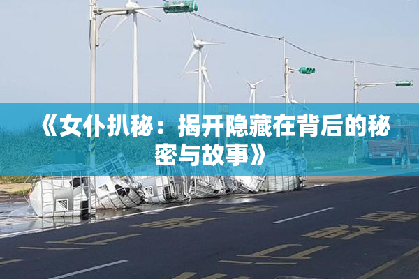 《女仆扒秘：揭开隐藏在背后的秘密与故事》