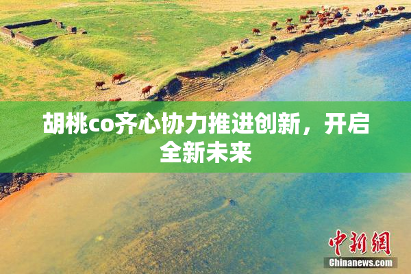 胡桃co齐心协力推进创新，开启全新未来