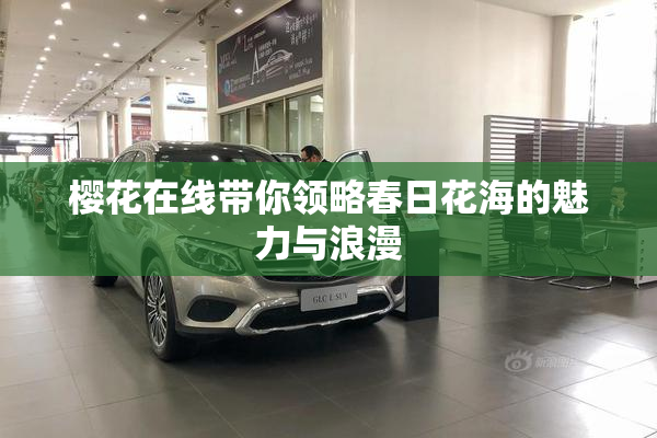 樱花在线带你领略春日花海的魅力与浪漫