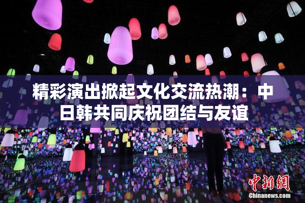 精彩演出掀起文化交流热潮：中日韩共同庆祝团结与友谊