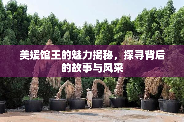 美媛馆王的魅力揭秘，探寻背后的故事与风采