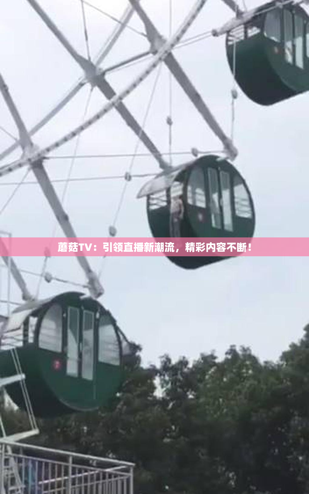 蘑菇TV：引领直播新潮流，精彩内容不断！