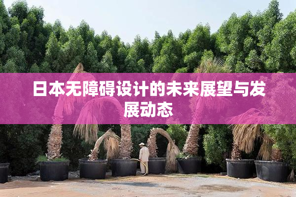 日本无障碍设计的未来展望与发展动态