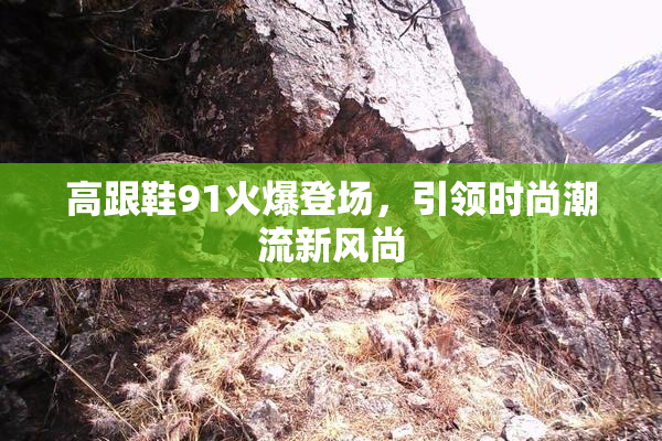 高跟鞋91火爆登场，引领时尚潮流新风尚