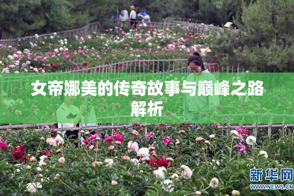 女帝娜美的传奇故事与巅峰之路解析