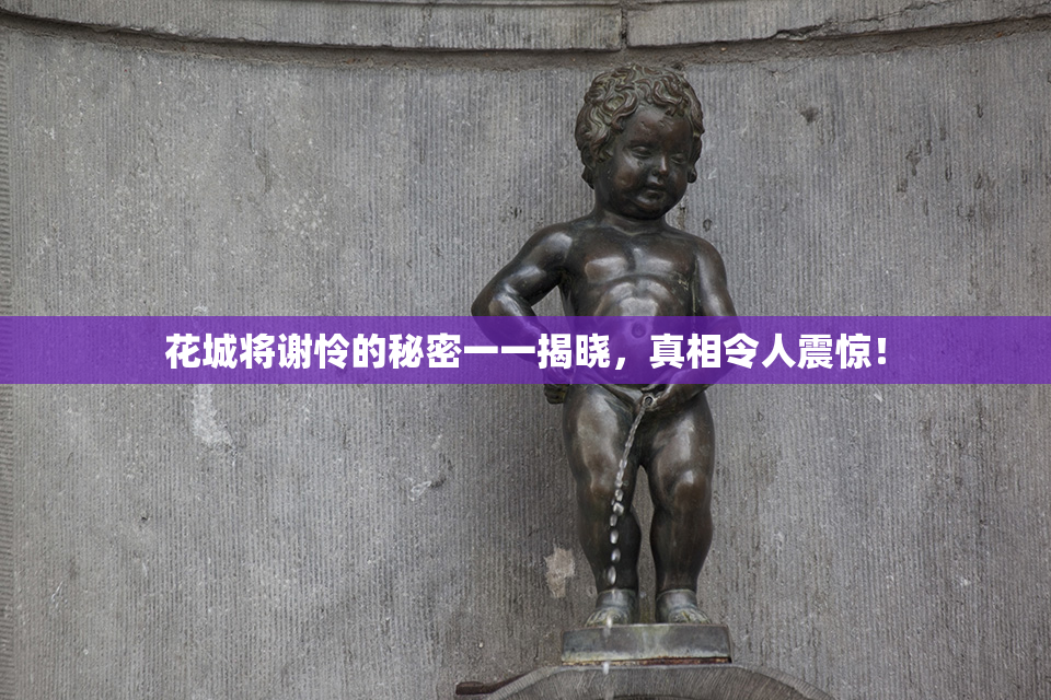 花城将谢怜的秘密一一揭晓，真相令人震惊！