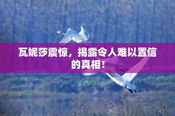 瓦妮莎震惊，揭露令人难以置信的真相！