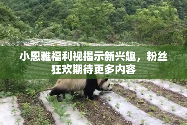 小恩雅福利视揭示新兴趣，粉丝狂欢期待更多内容
